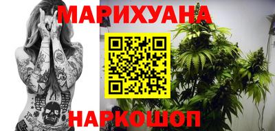 прущие крисы Можга