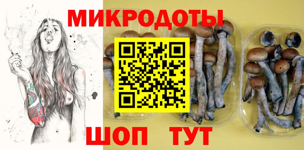 Сосновый Бор  Галлюциногенные грибы GOLDEN TEACHER  Галлюциногенные грибы мицелий  Вход с VPN 